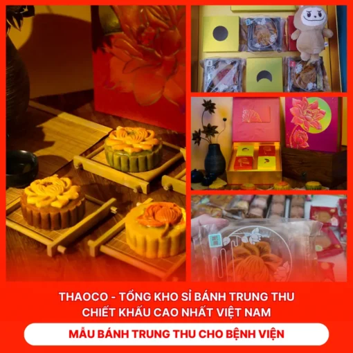 Bánh Trung Thu Cho Bệnh Viện