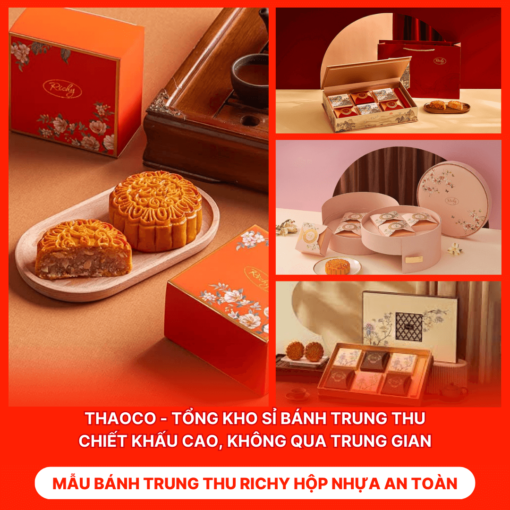 Bánh Trung Thu Richy Hộp Nhựa An Toàn